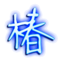 椿的透明头像