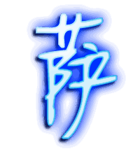 萨的透明头像