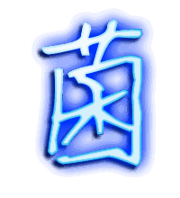 菌的透明头像