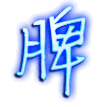 脾的透明头像
