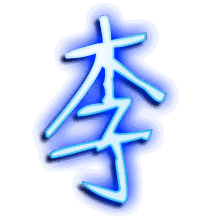 李的透明头像