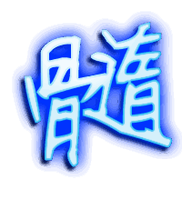 髓的透明头像