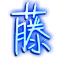 藤的透明头像