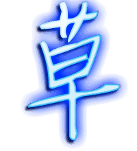 草的透明头像
