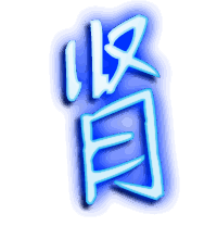 肾的透明头像