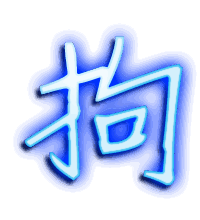 拘的透明头像