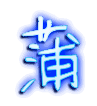 蒲的透明头像