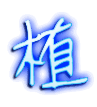 植的透明头像