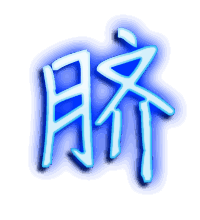脐的透明头像