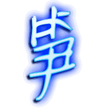 笋的透明头像