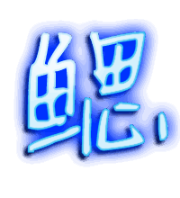 鳃的透明头像