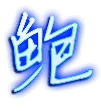 鲍的透明头像