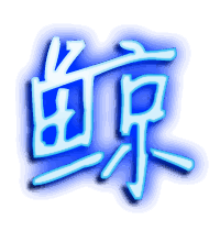鲸的透明头像